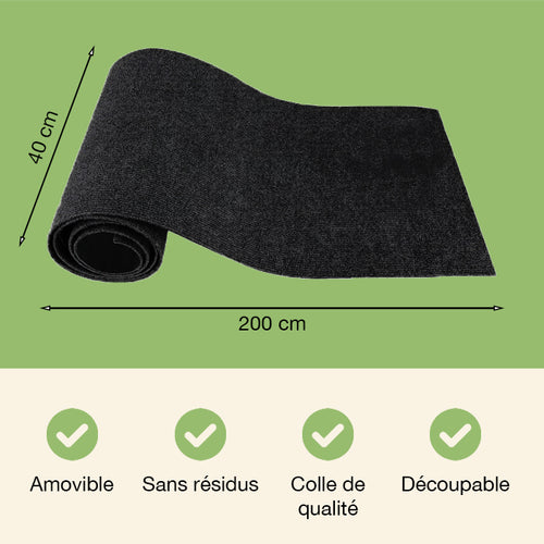 Griffoir protège canapé